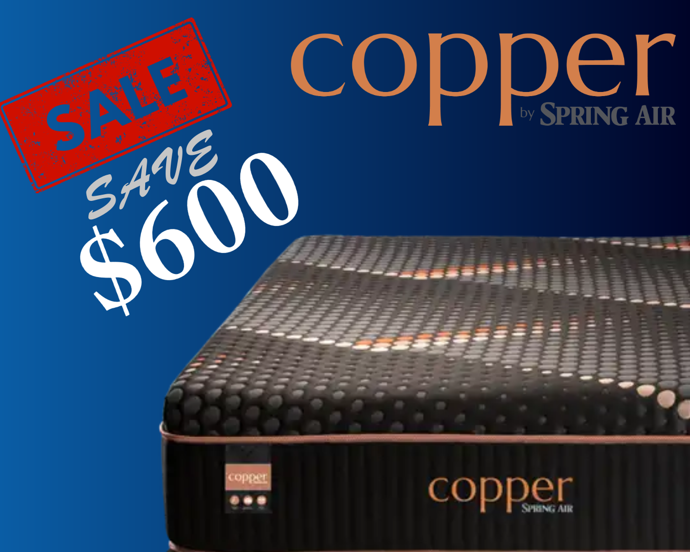 sleeptronic biosleep recycle logo