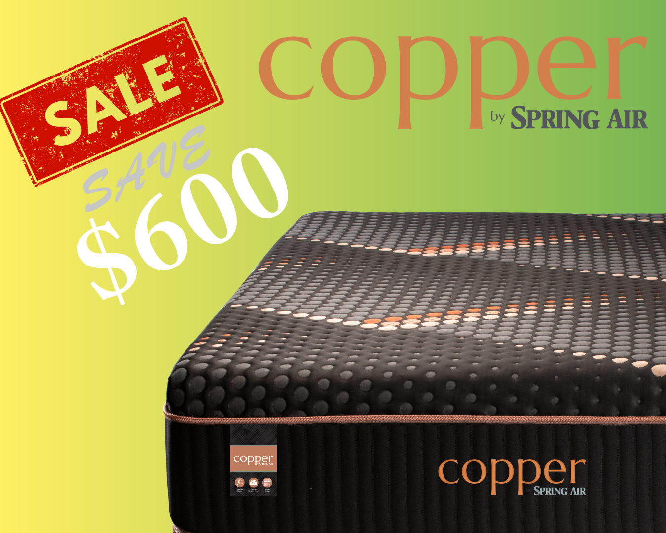 sleeptronic biosleep recycle logo